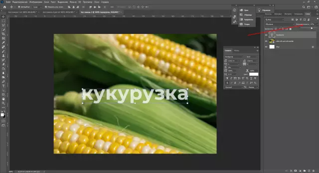 Основы работы с каналами в Photoshop